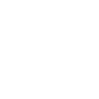 Aesthetic Singulier